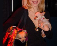 Fashion 2005