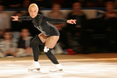 Stars stripes skates 2006